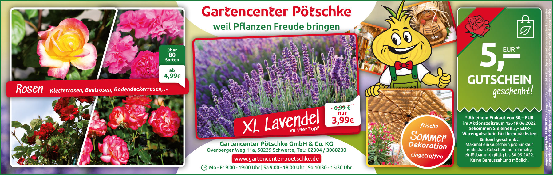 Werbeanzeige XXL Lavendel